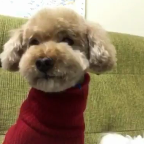 眠くなんてないもん！の画像