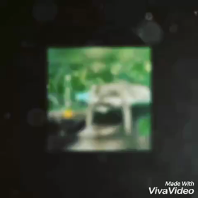 またまたいろいろと作ってしまったの画像