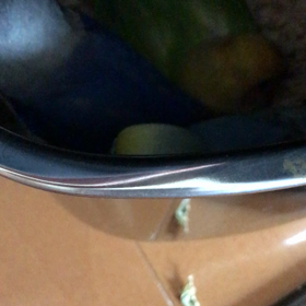 平日早朝のひととき 〜小動物隊編〜の画像