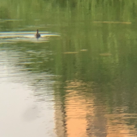 行かないで〜 ！！      T^Tの画像