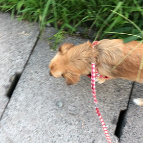 予防接種の画像