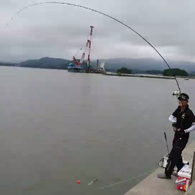 大村湾のデカ○○の画像