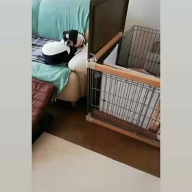 アクティブの画像