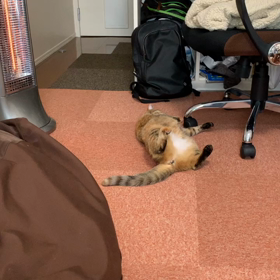 あおいちゃん…ほっこりの画像