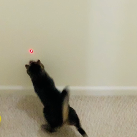 私の遊び相手♡の画像