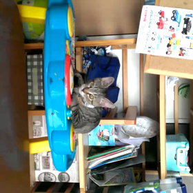 弾いてますwの画像