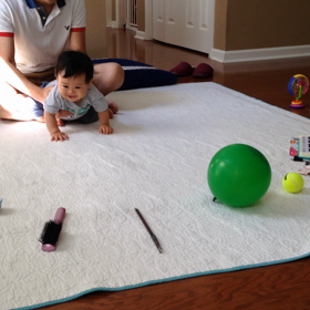 選び取りの画像