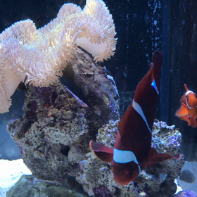 今日はダンとマッタリの画像