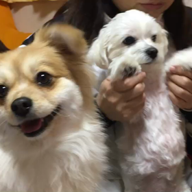 母と愛犬のバスケ応援の様子〜♪笑の画像