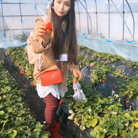 イチゴ狩り動画パート3︎！(^ ^)の画像