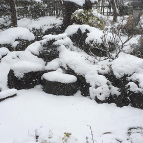 外は冬の雪の画像