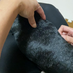 日本選手団の皆様感動をありがとうございますの画像