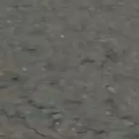 しらゆきちゃん動画シリーズ：なつかし編の画像