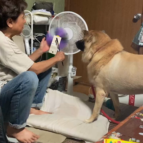 初めては怖いわーの画像