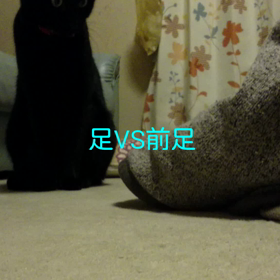 くりくりおめめでの画像