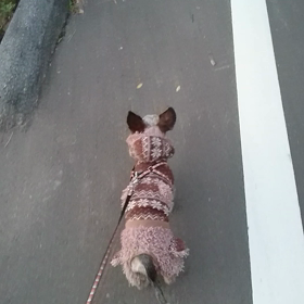 私の気持ちの画像