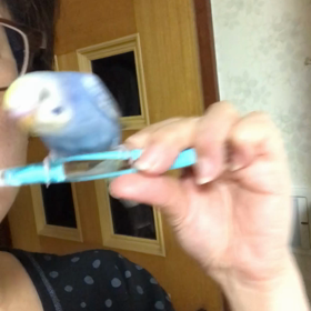 まったく動じず。の画像