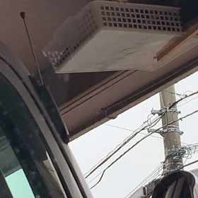 ヒナの動画★の画像