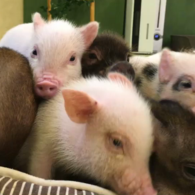 朝からケンカしないで〜の画像