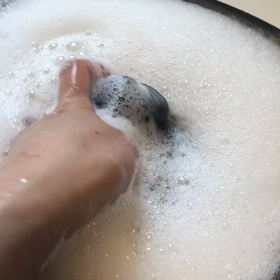 最近のぽみの画像