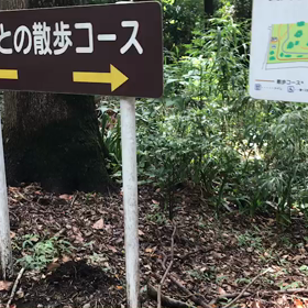 ♪お散歩動画♪砧公園♪の画像