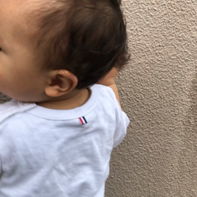 イエスマン。の画像