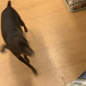 座って貰うだけよ。の画像