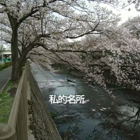 本日4/1の勉強　（新年度）の画像