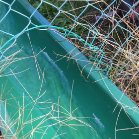 ☆新ベラ放流しました。☆の画像