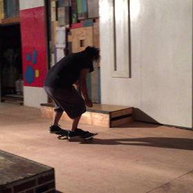 小針浜、チドリ、の画像