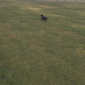 RUN&カラテ修行7-66の画像