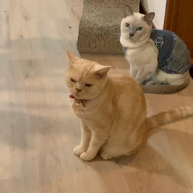 嵐の前の2人。の画像