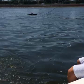 ウエイク動画の画像