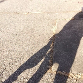 マー君その後～✨の画像