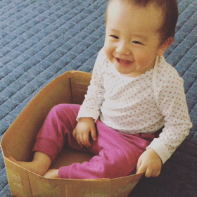 箱入り娘の画像