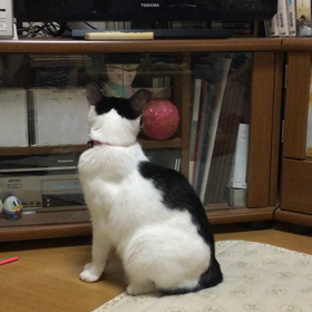 関心。感心。の画像
