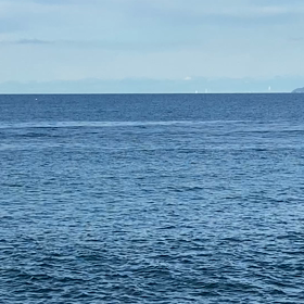 魚が跳ねる！の画像