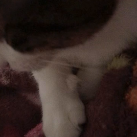 人差し指にズッシリな愛を感じての画像