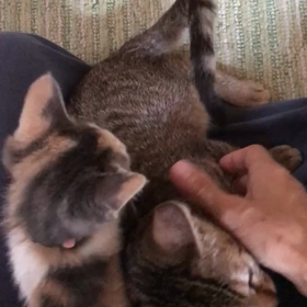 幸せなひと時の画像