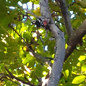 再会と知人の画像