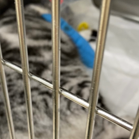 元気の源の画像