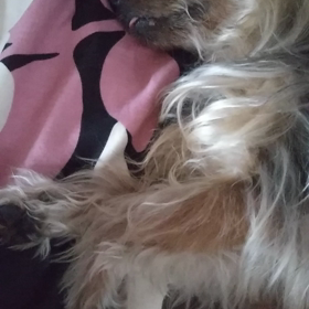 ちょっとホラー(笑)の画像