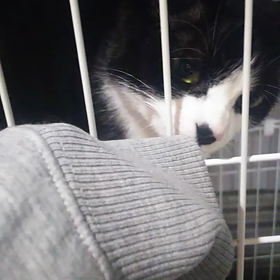 梅ちゃん劇場～の画像