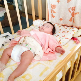 動画3連発の画像