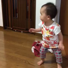 ミーちゃん歩いた その後の画像