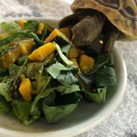 カボチャ食べた！の画像