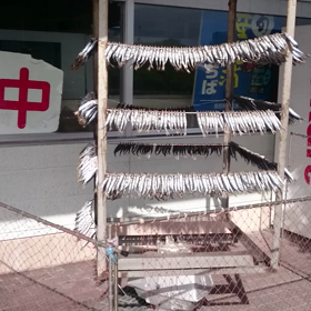 赤崎の道の駅の画像