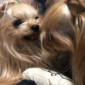 ちびーぃずの関係…の画像