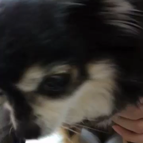 のなちゃんの画像