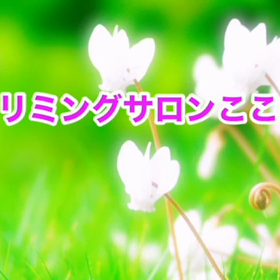 11月　〜スライドショー〜の画像